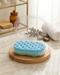 Soap Sponge Clamshell